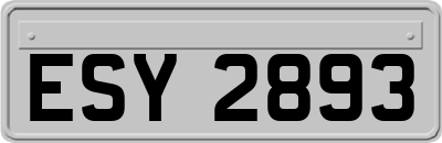 ESY2893