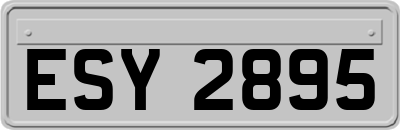 ESY2895