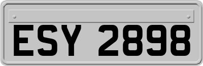 ESY2898