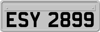 ESY2899