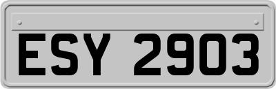 ESY2903