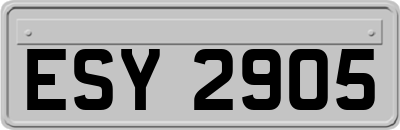 ESY2905