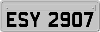 ESY2907