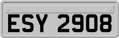 ESY2908