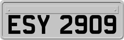 ESY2909