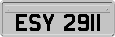 ESY2911
