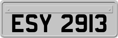 ESY2913
