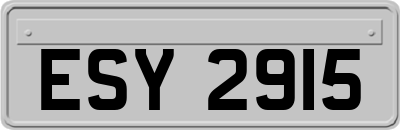 ESY2915