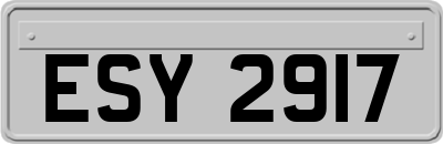 ESY2917