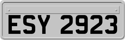 ESY2923