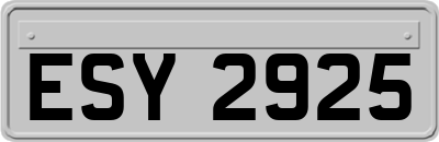 ESY2925