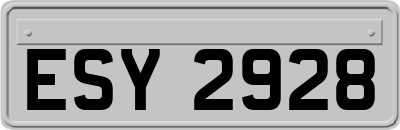 ESY2928