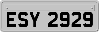 ESY2929