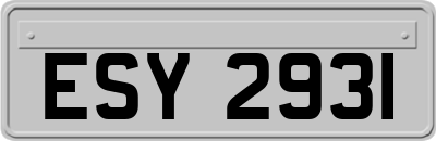 ESY2931