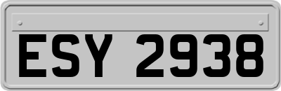 ESY2938