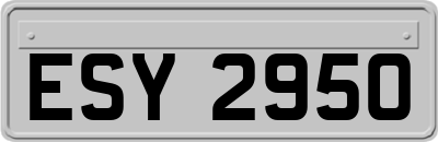ESY2950