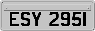 ESY2951