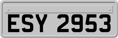 ESY2953