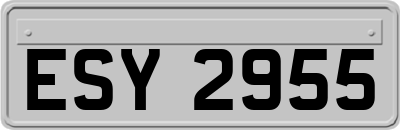 ESY2955