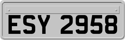 ESY2958
