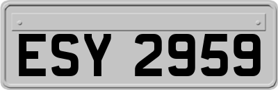 ESY2959