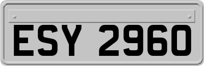 ESY2960