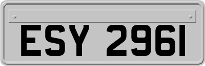 ESY2961