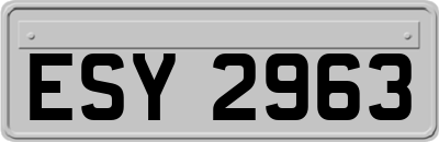 ESY2963