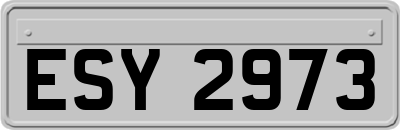 ESY2973
