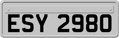 ESY2980