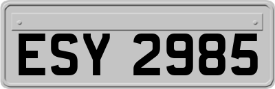 ESY2985