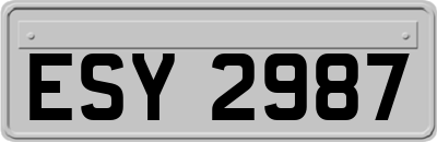 ESY2987