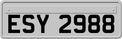 ESY2988