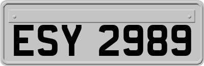 ESY2989