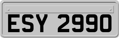 ESY2990
