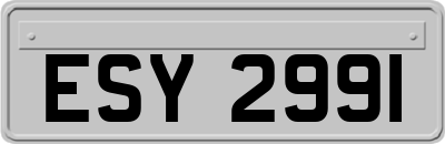 ESY2991