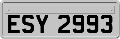 ESY2993