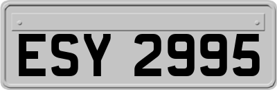 ESY2995
