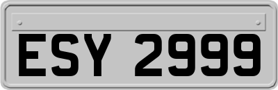 ESY2999
