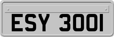 ESY3001
