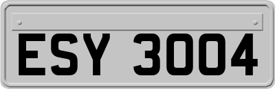 ESY3004
