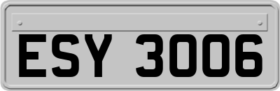 ESY3006