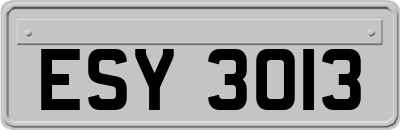 ESY3013