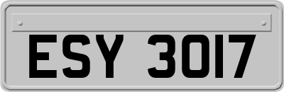 ESY3017