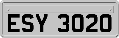 ESY3020