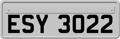 ESY3022