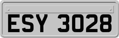 ESY3028