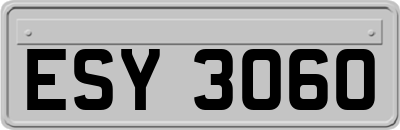 ESY3060