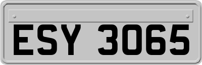 ESY3065