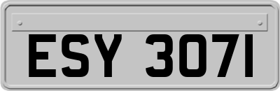 ESY3071